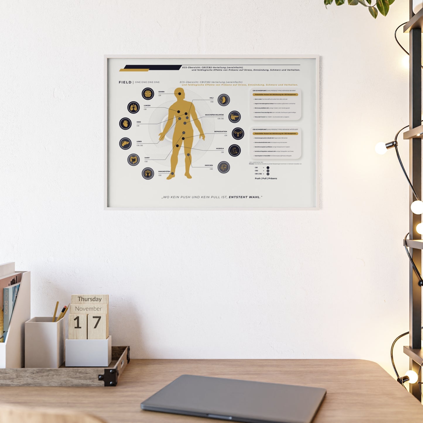 F I E L D | ECS-SYSTEM-CHART