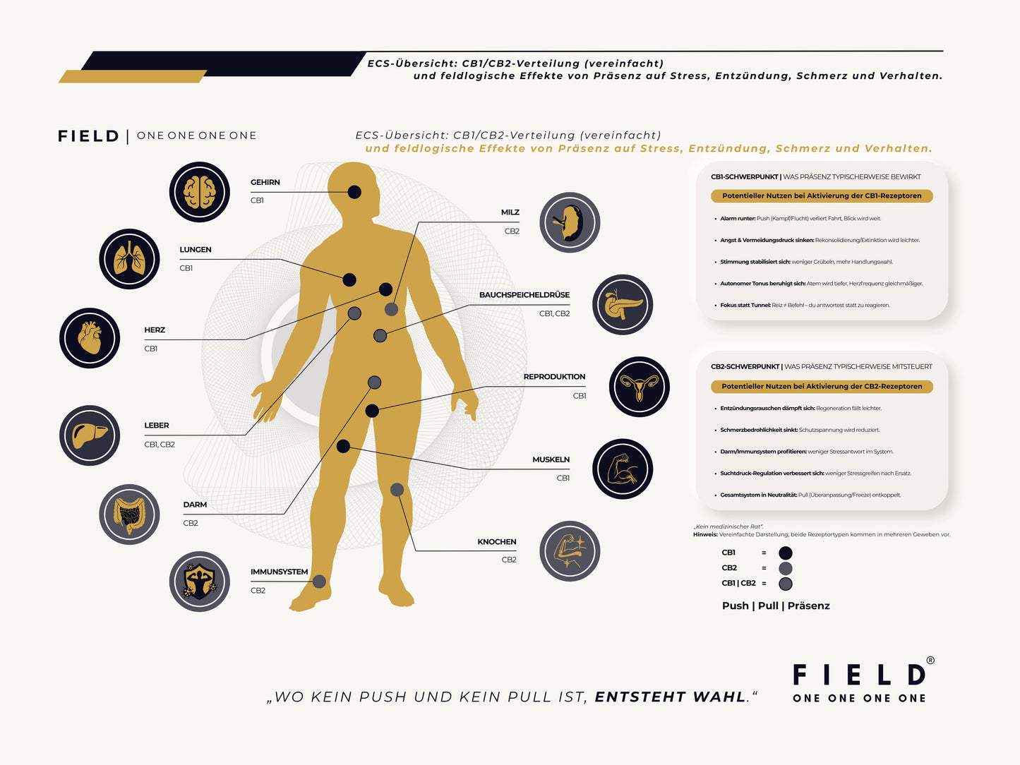 F I E L D | ECS-SYSTEM-CHART (PDF)