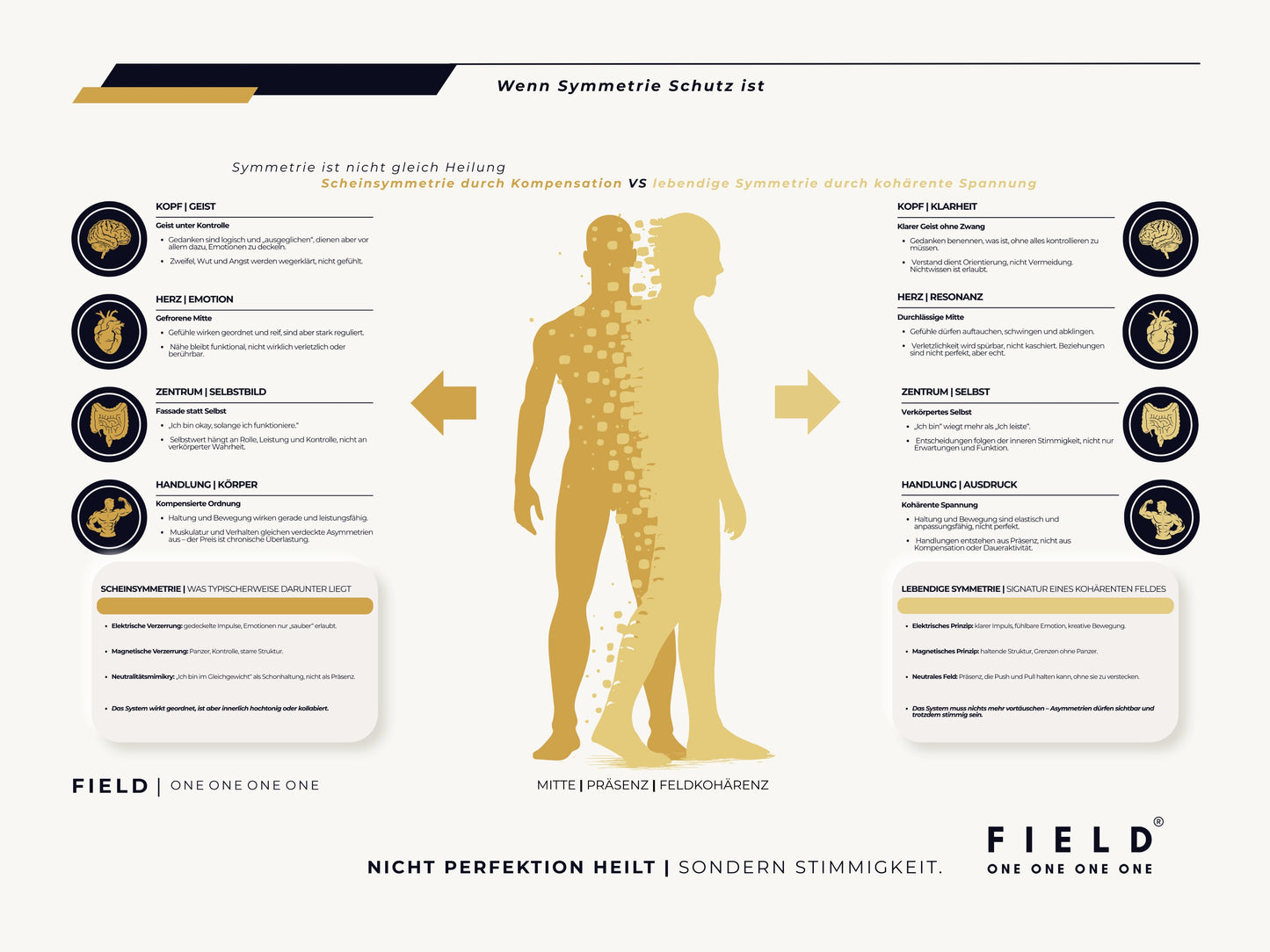 F I E L D | SYMMETRIE-CHART (PDF)