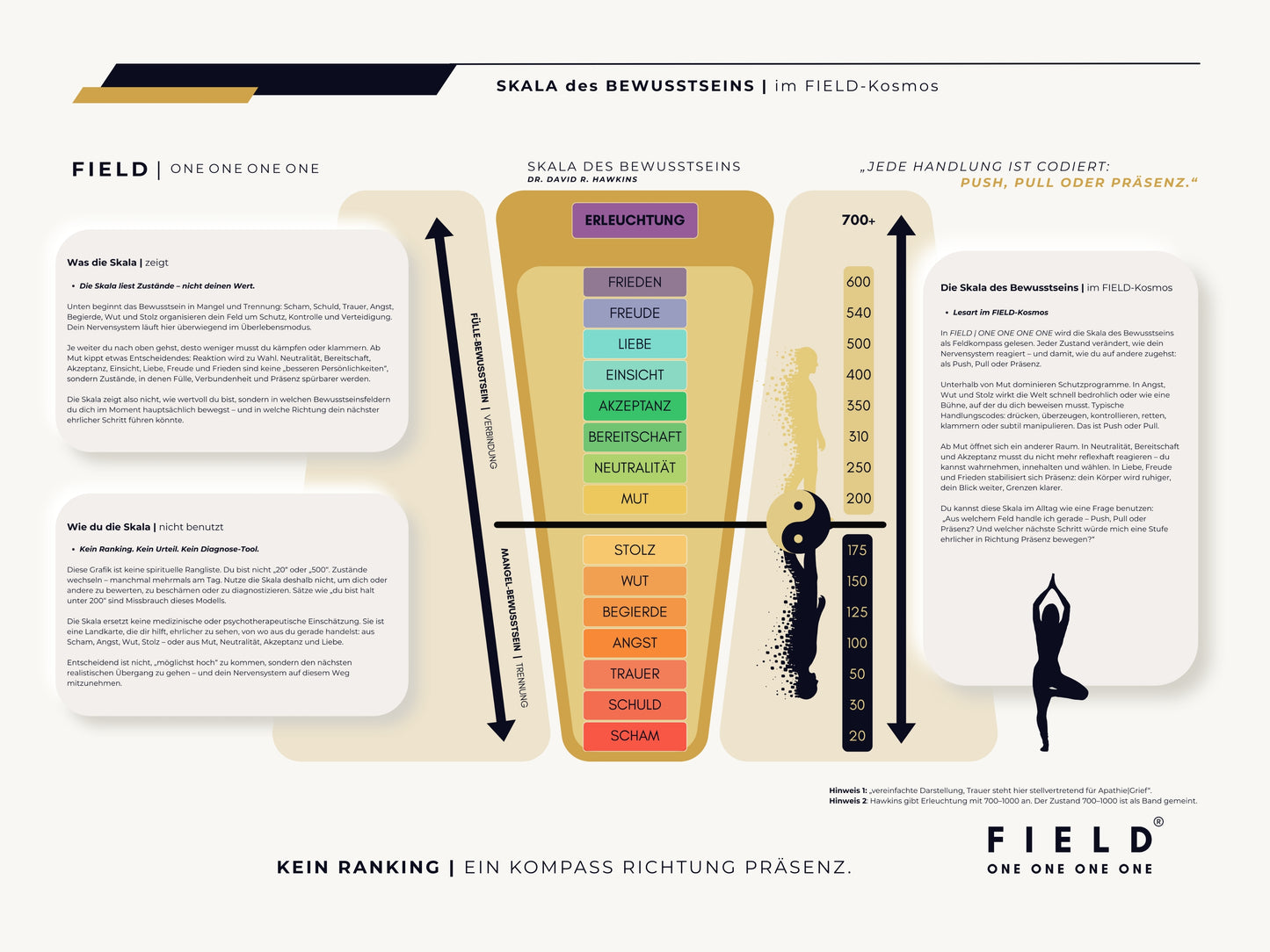 F I E L D | SKALA DES BEWUSSTSEINS (PDF)