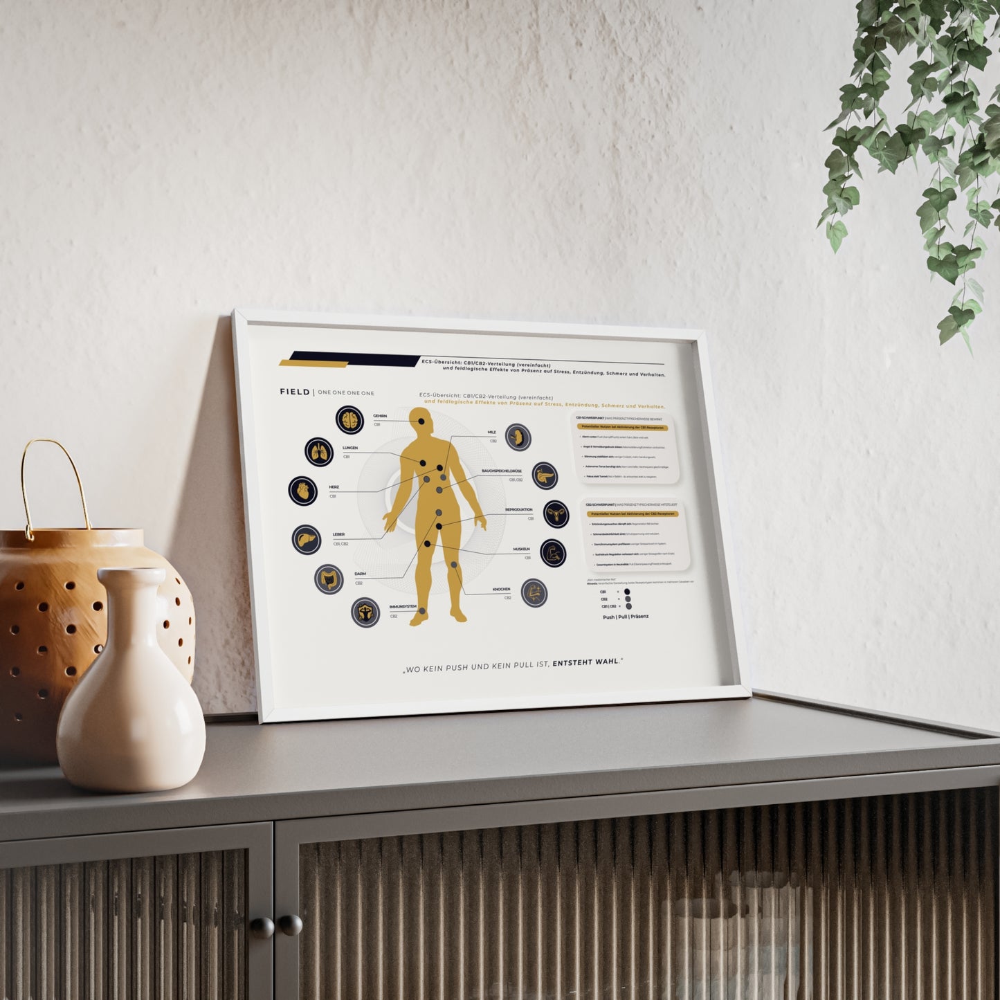 F I E L D  |  ECS-SYSTEM-CHART