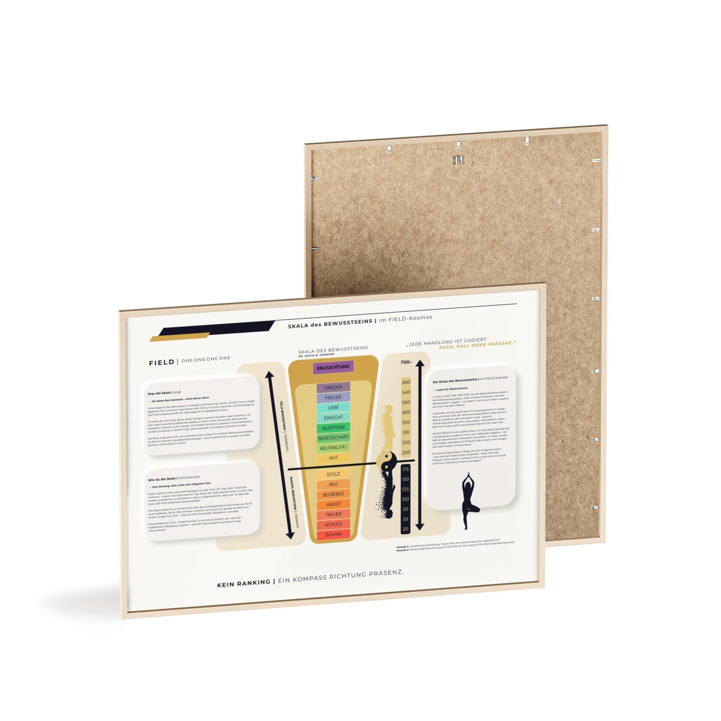 F I E L D | SKALA DES BEWUSSTSEIN