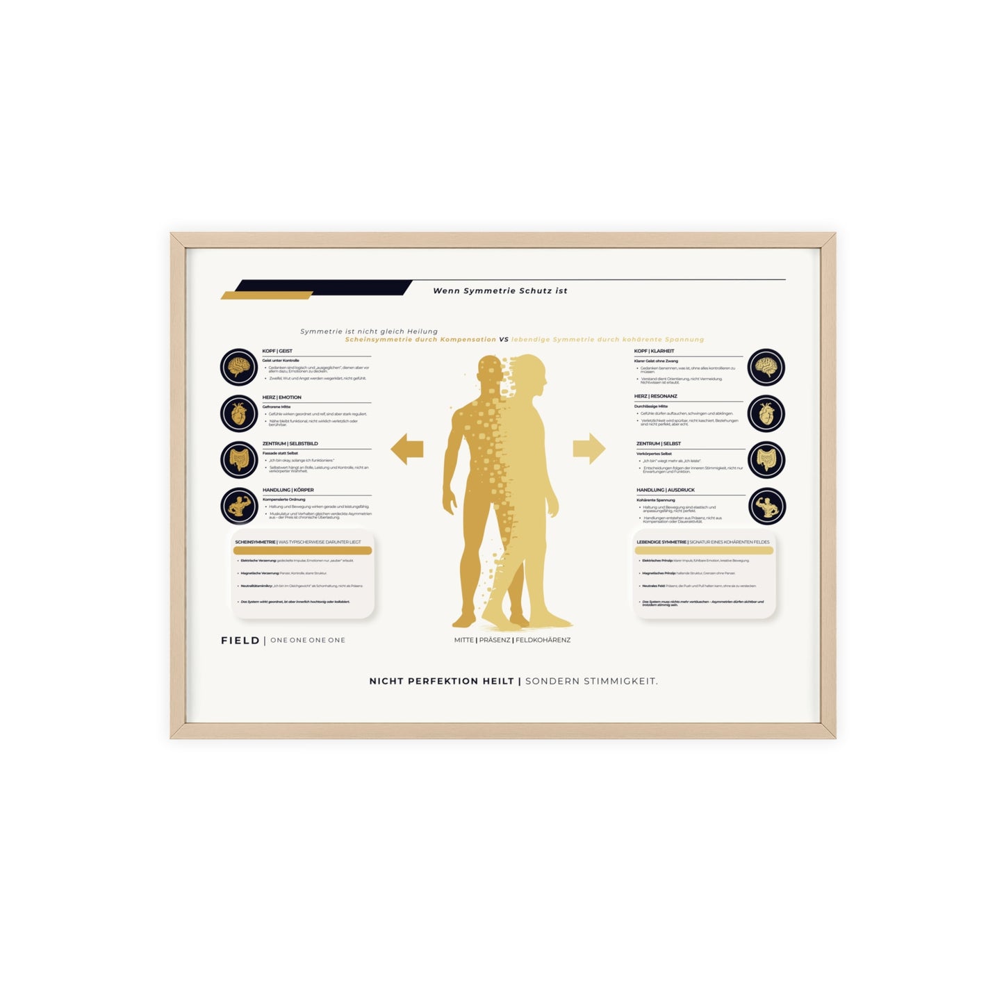 F I E L D | SYMMETRIE-CHART