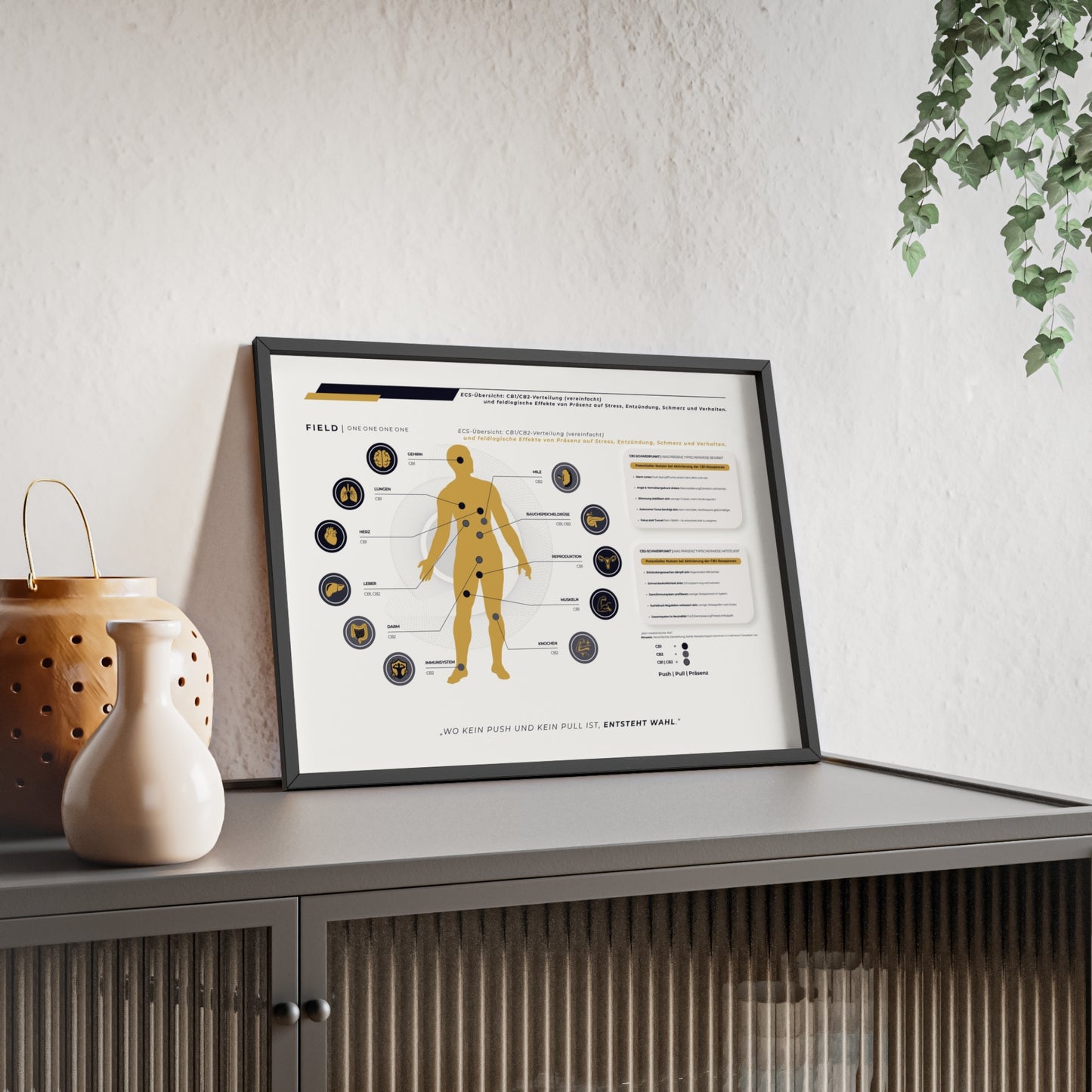 F I E L D  |  ECS-SYSTEM-CHART