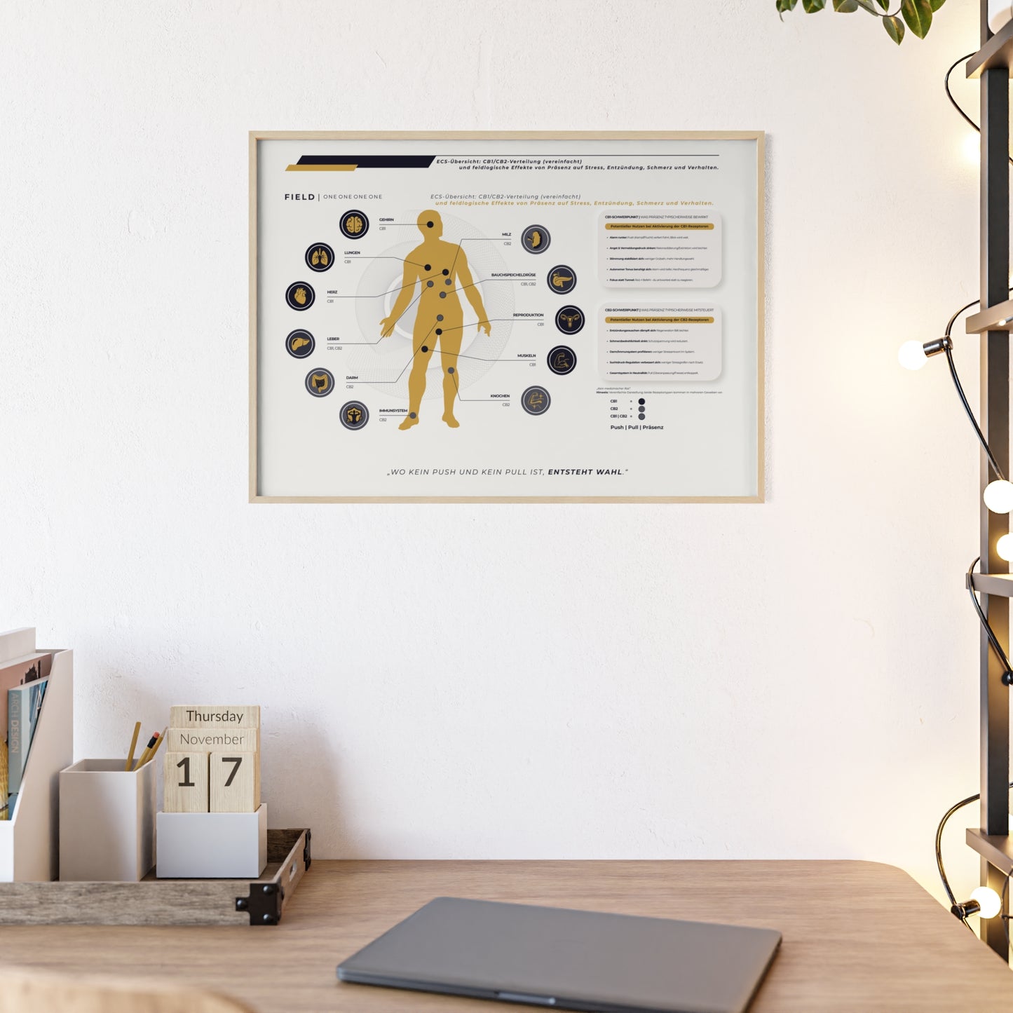 F I E L D  |  ECS-SYSTEM-CHART