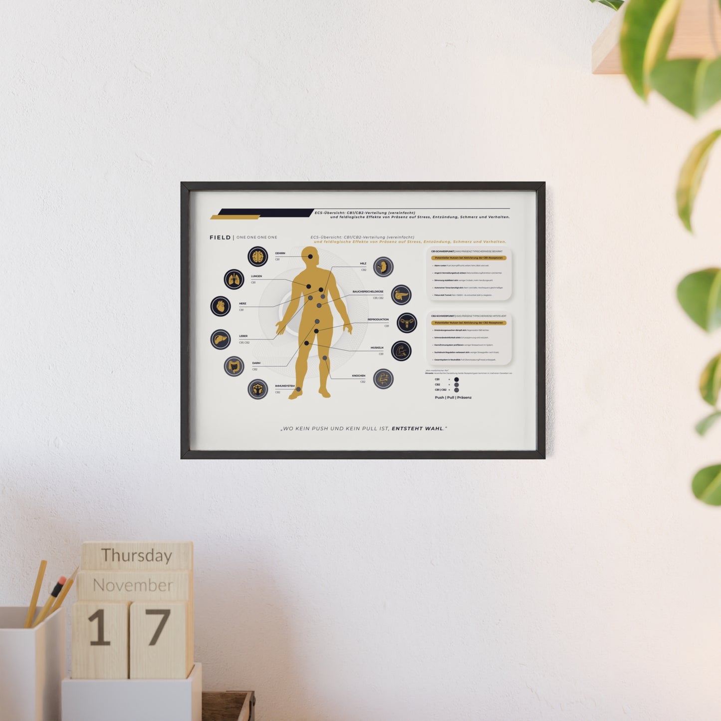 F I E L D  |  ECS-SYSTEM-CHART