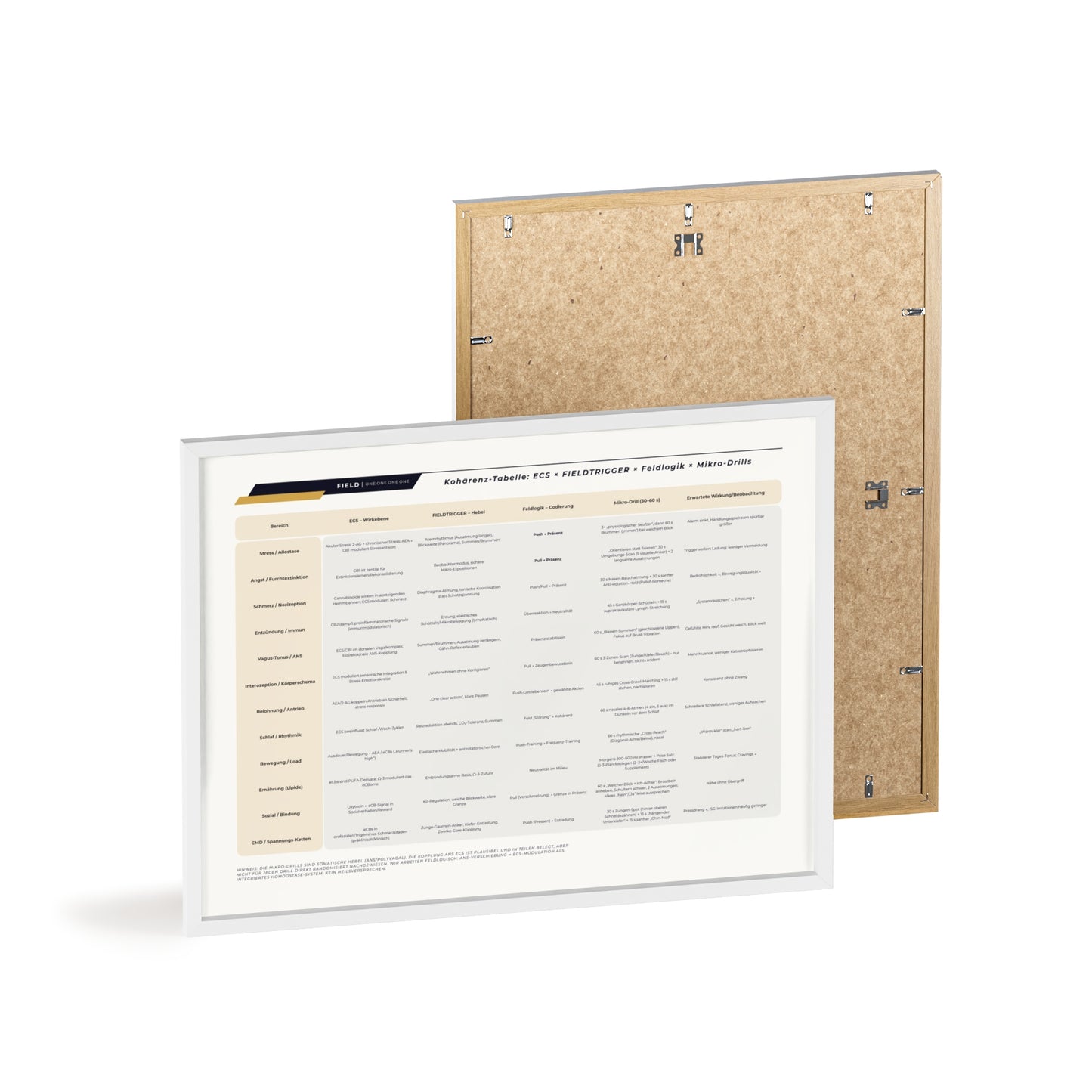 F I E L D  |  COHERENCE-CHART