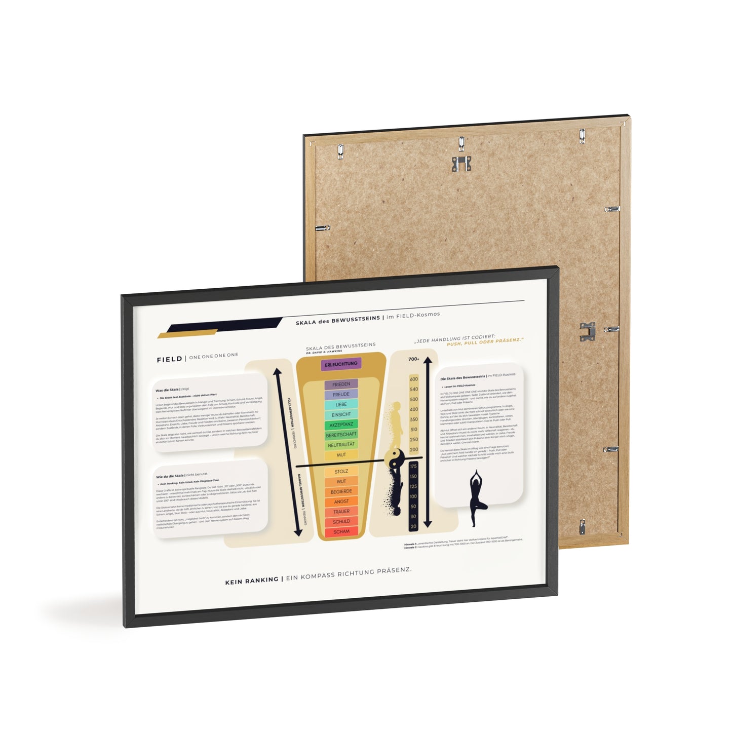F I E L D | SKALA DES BEWUSSTSEIN