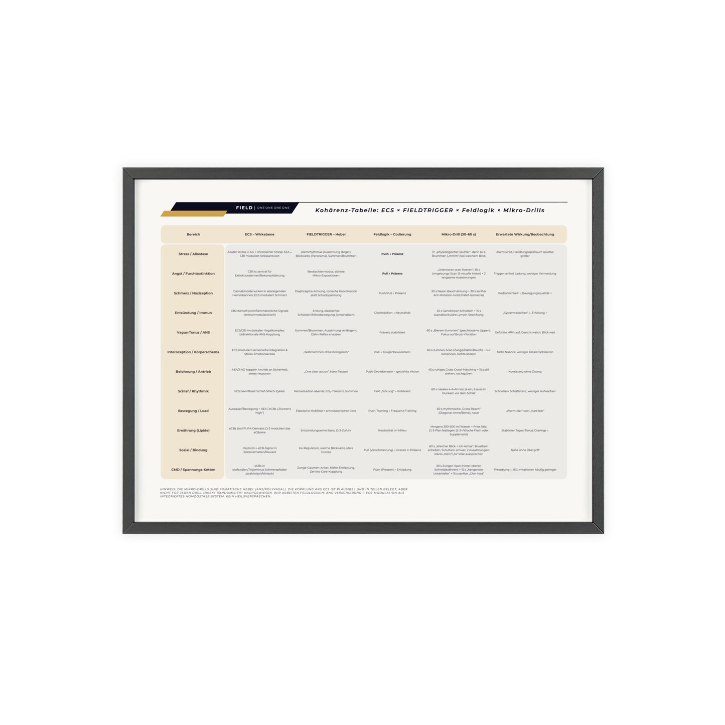 F I E L D  |  COHERENCE-CHART