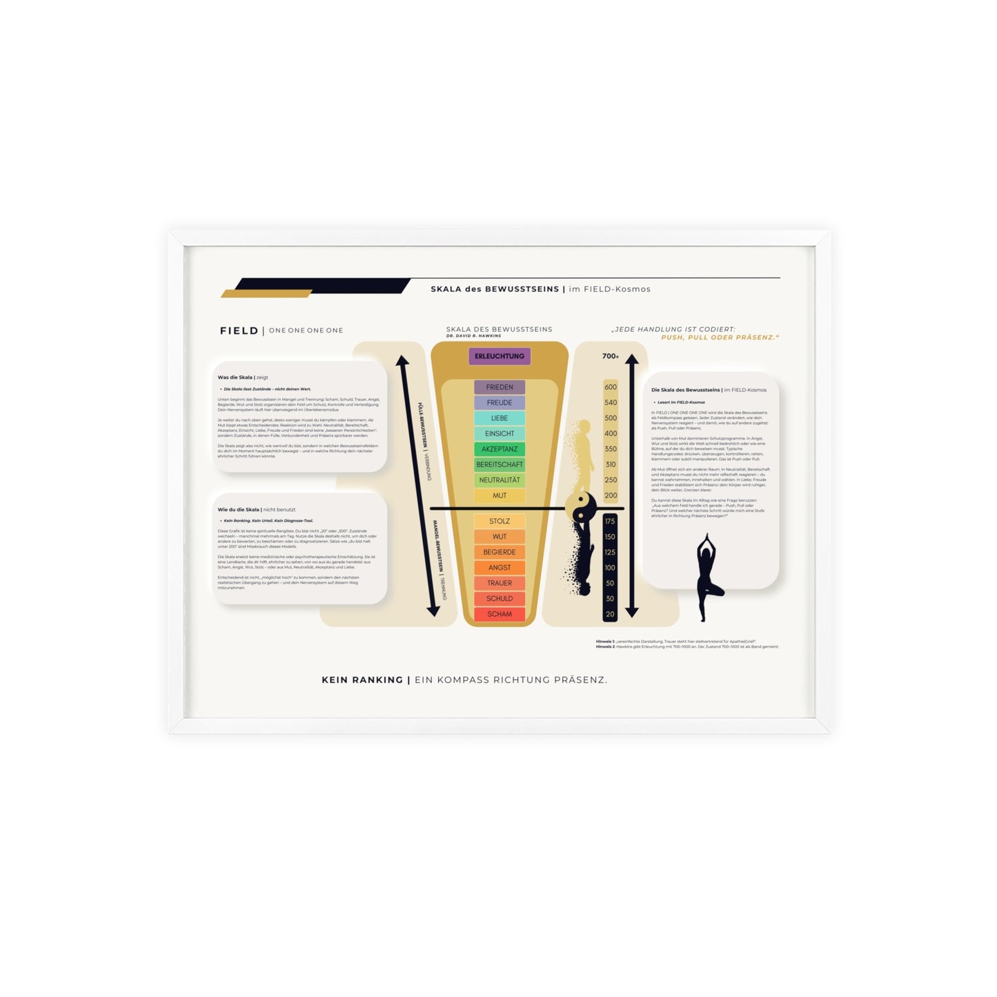 F I E L D | SKALA DES BEWUSSTSEIN