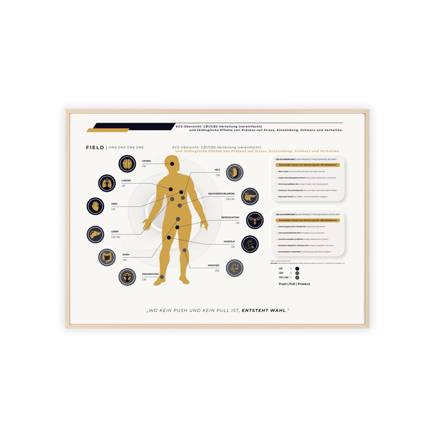 F I E L D  |  ECS-SYSTEM-CHART