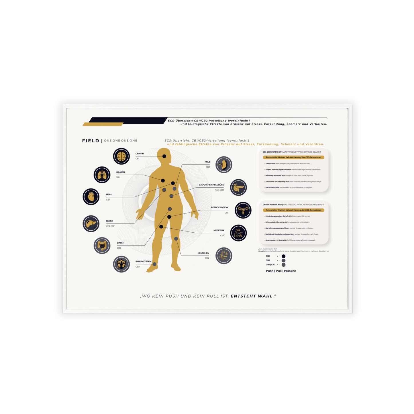 F I E L D  |  ECS-SYSTEM-CHART