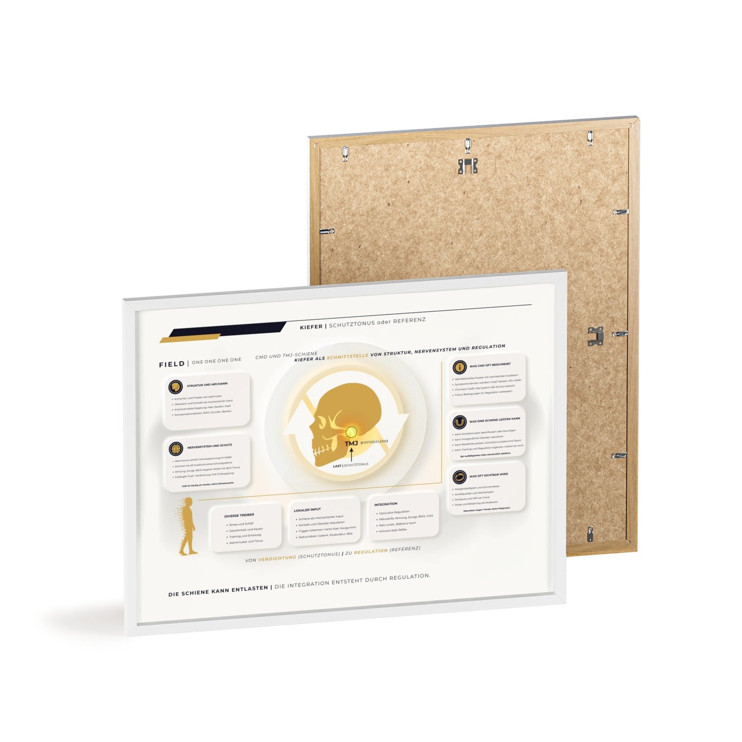 F I E L D | CMD-CHART