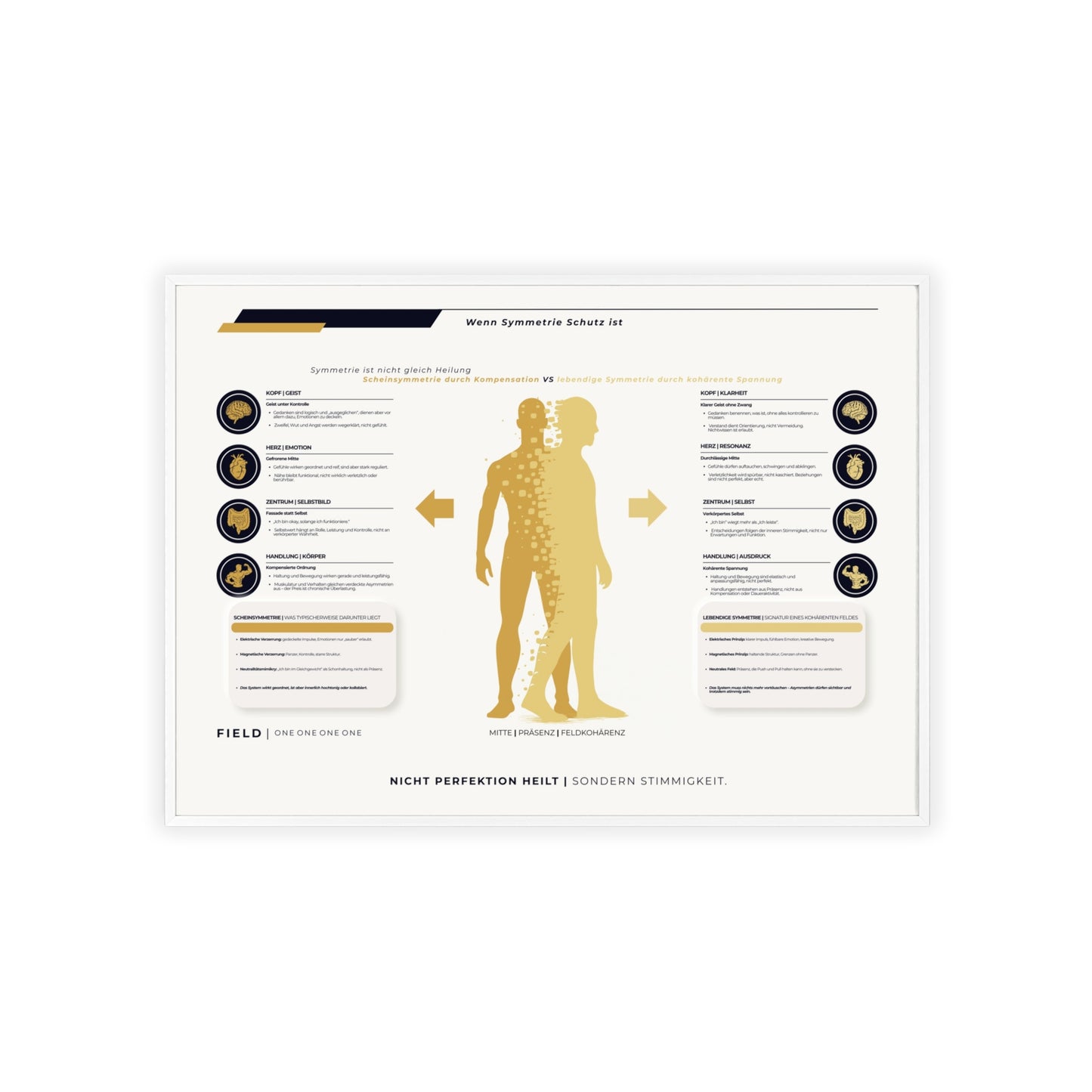 F I E L D | SYMMETRIE-CHART