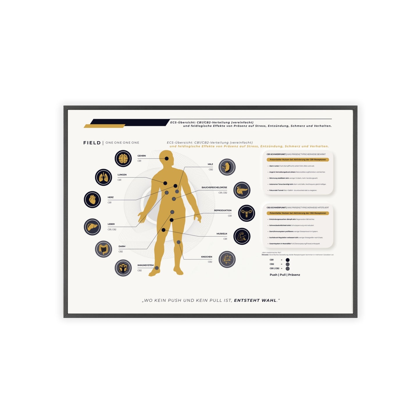 F I E L D  |  ECS-SYSTEM-CHART
