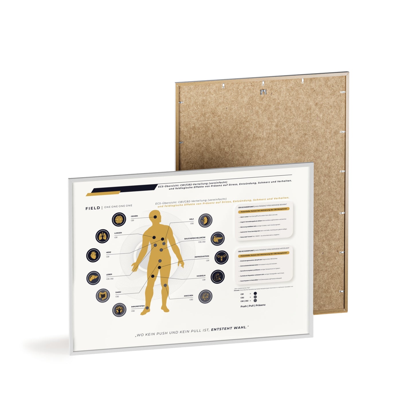 F I E L D  |  ECS-SYSTEM-CHART