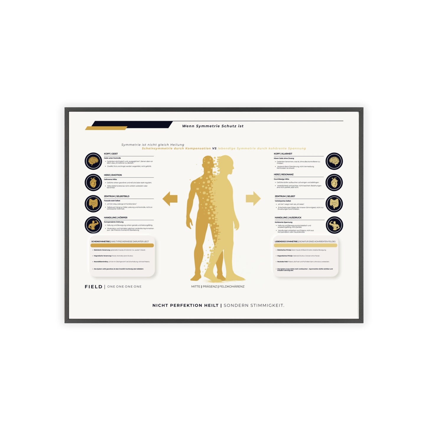 F I E L D | SYMMETRIE-CHART