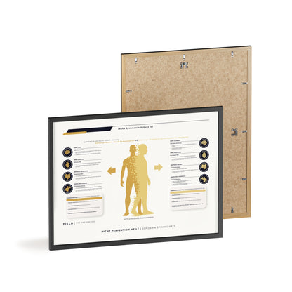 F I E L D | SYMMETRIE-CHART