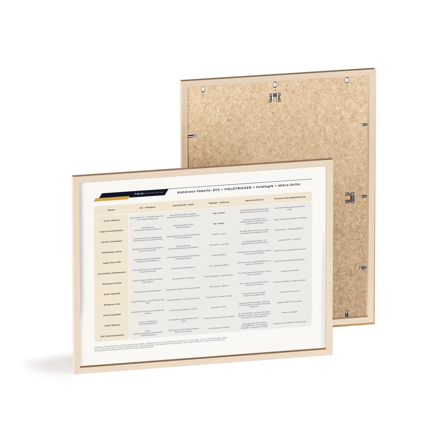 F I E L D  |  COHERENCE-CHART