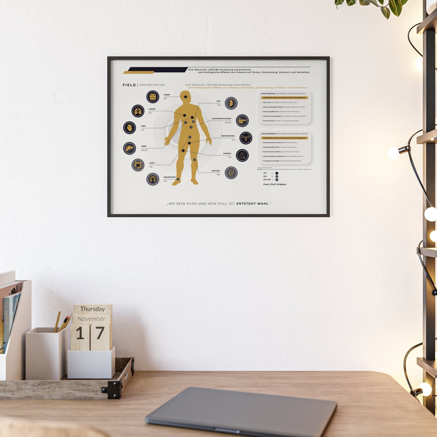 F I E L D  |  ECS-SYSTEM-CHART