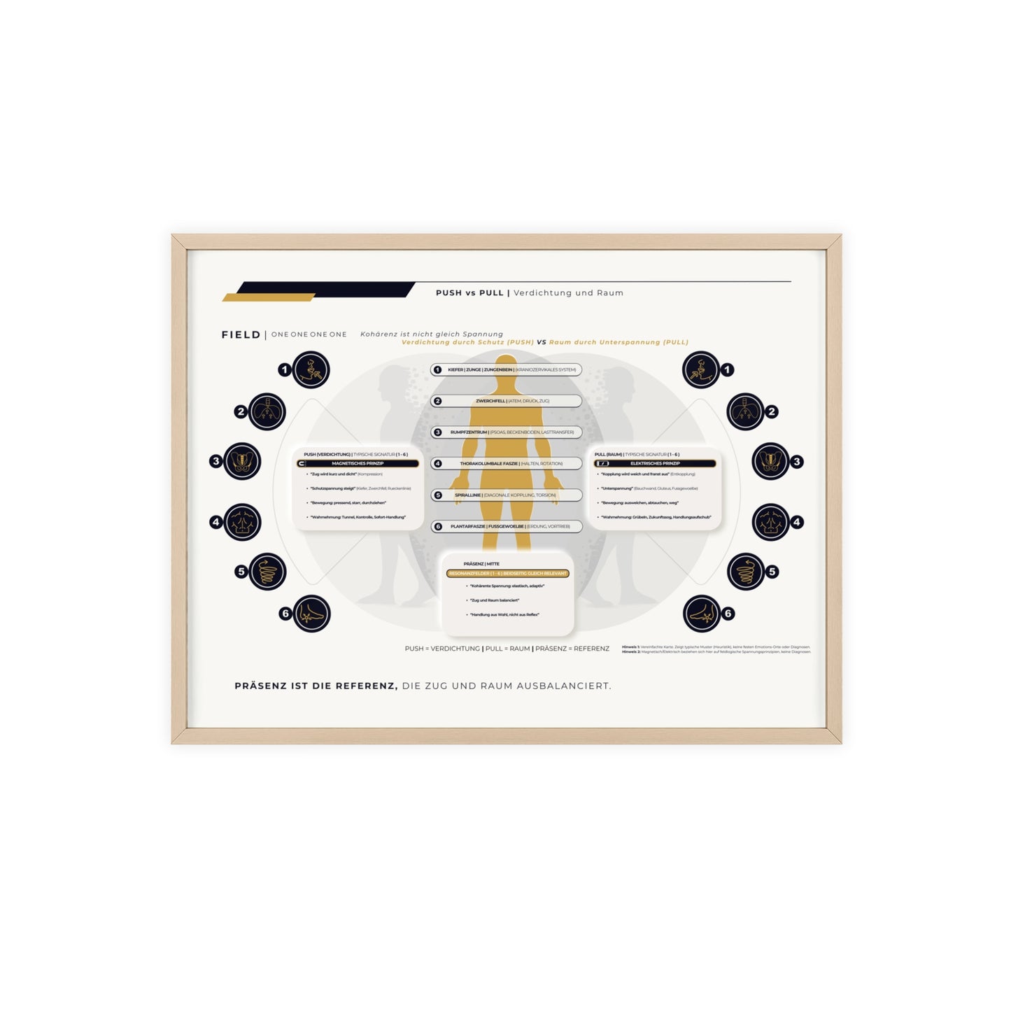 F I E L D | PUSH-PULL-CHART