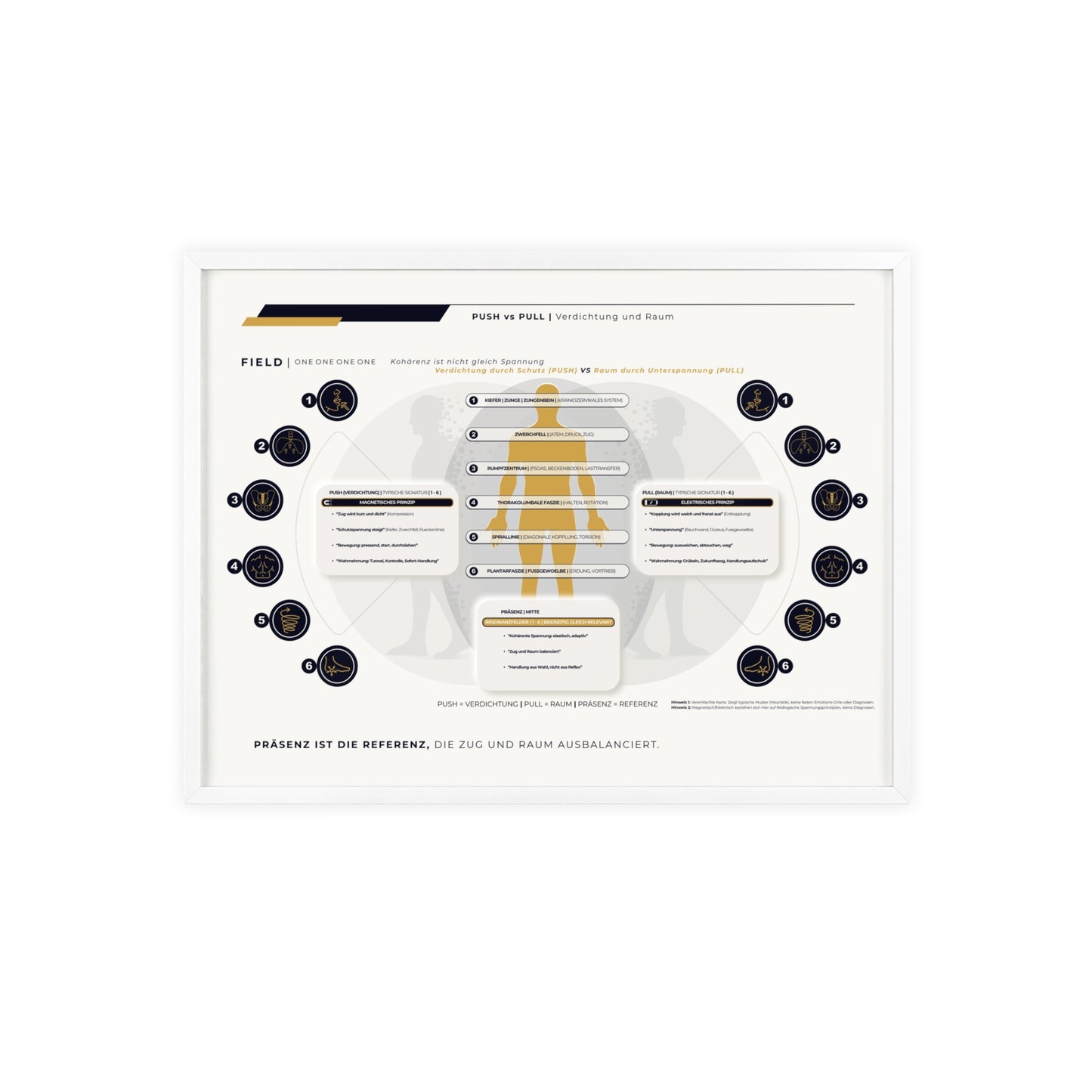 F I E L D | PUSH-PULL-CHART