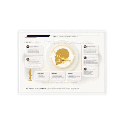 F I E L D | CMD-CHART