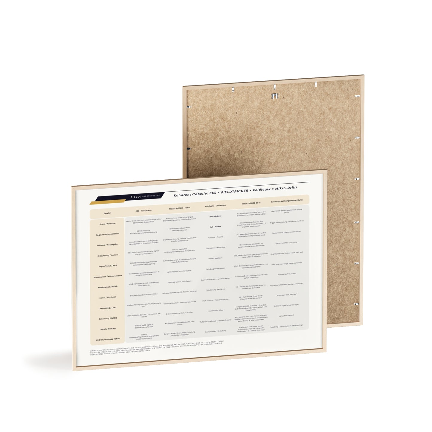 F I E L D  |  COHERENCE-CHART