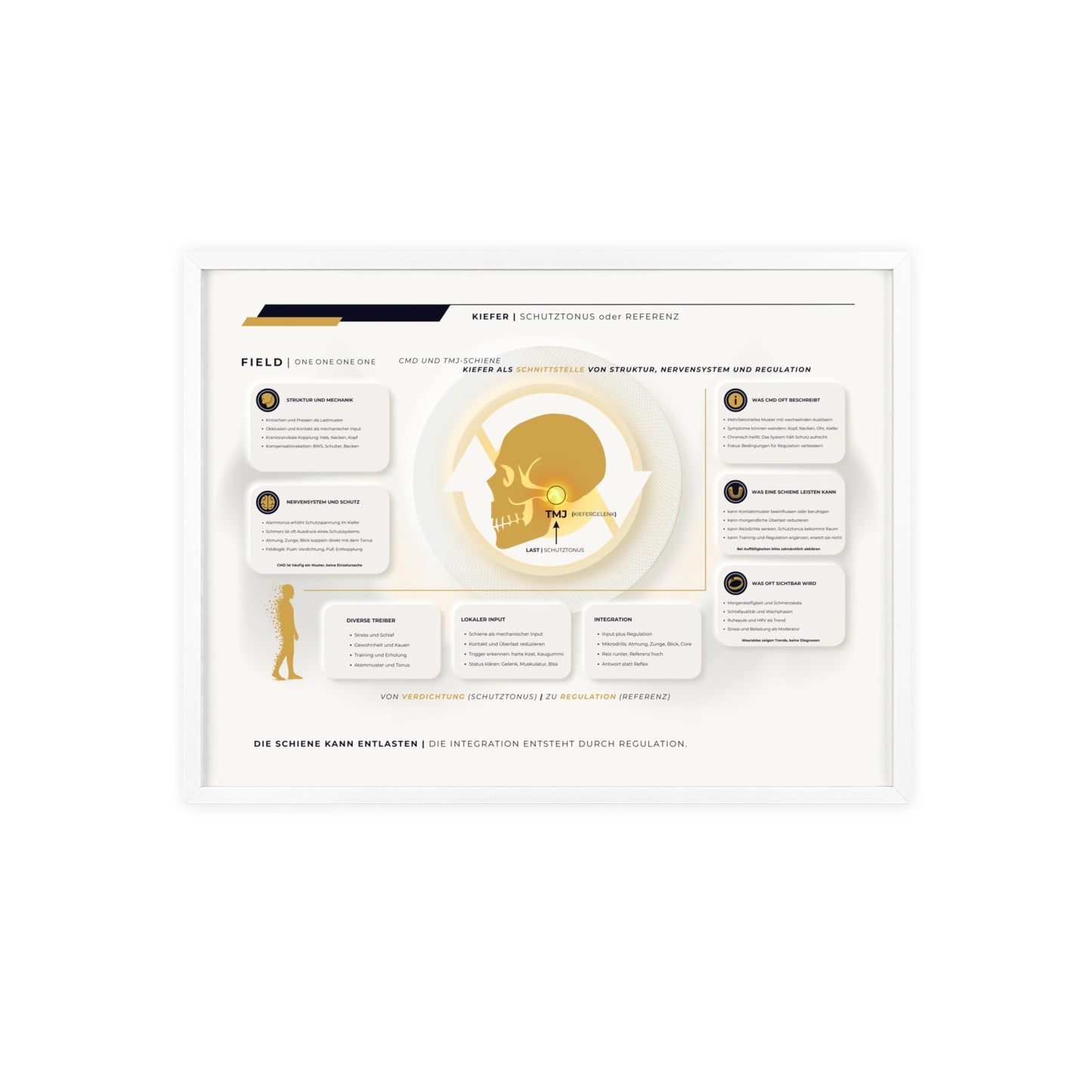 F I E L D | CMD-CHART