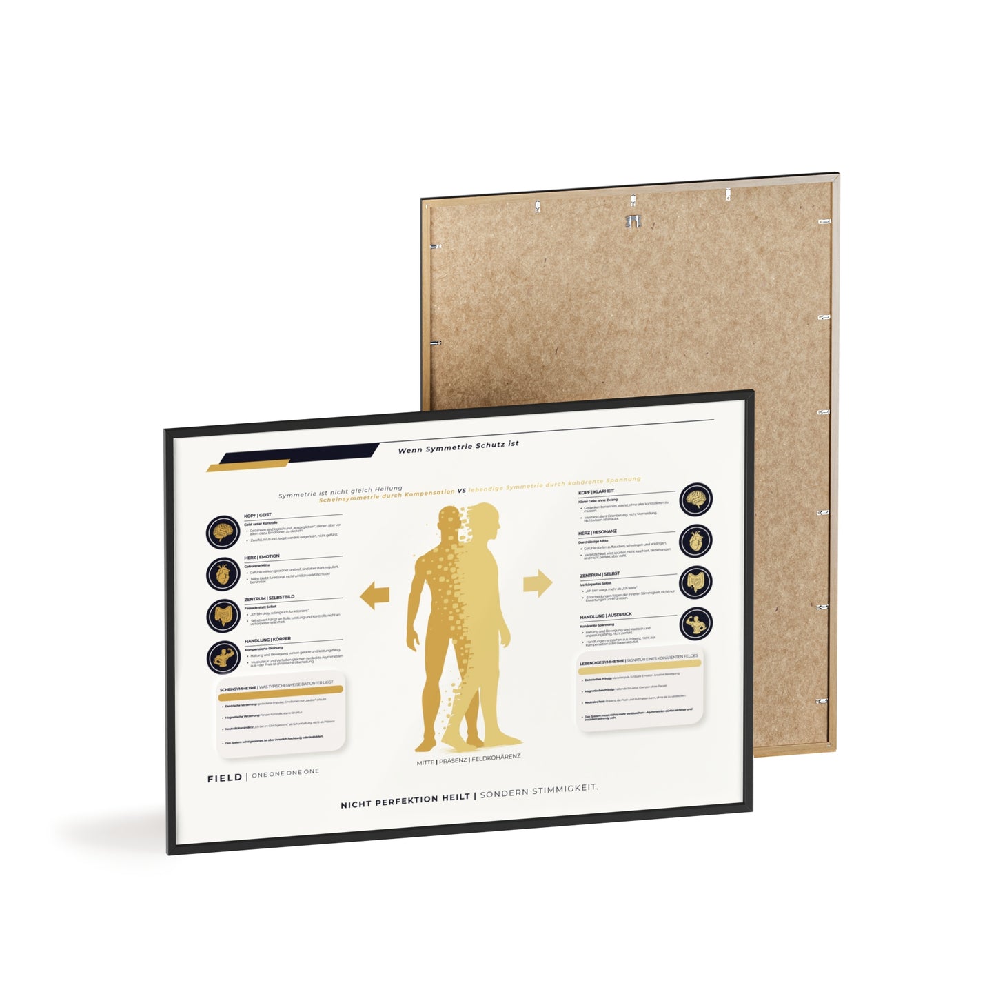 F I E L D | SYMMETRIE-CHART