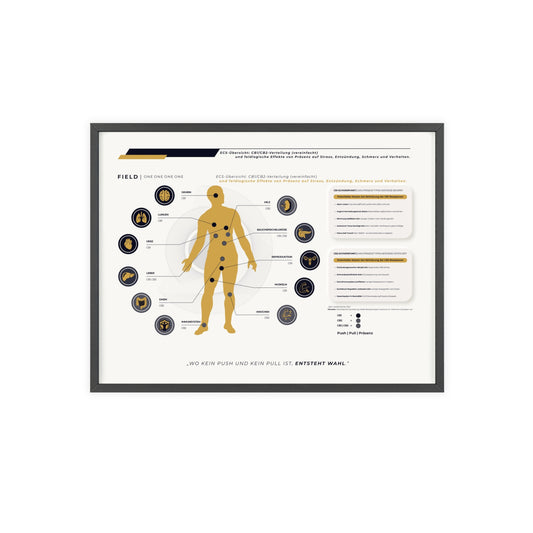 F I E L D  |  ECS-SYSTEM-CHART