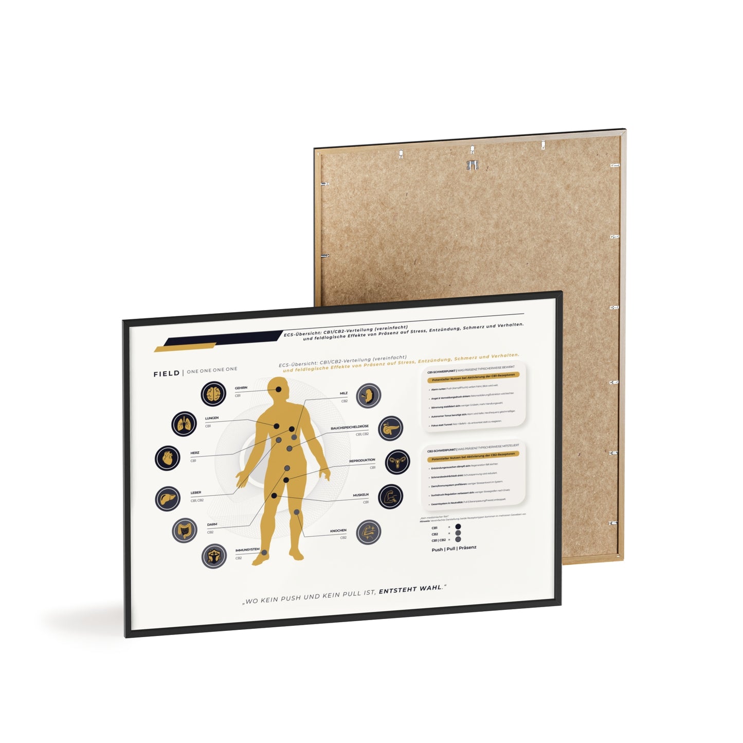 F I E L D  |  ECS-SYSTEM-CHART