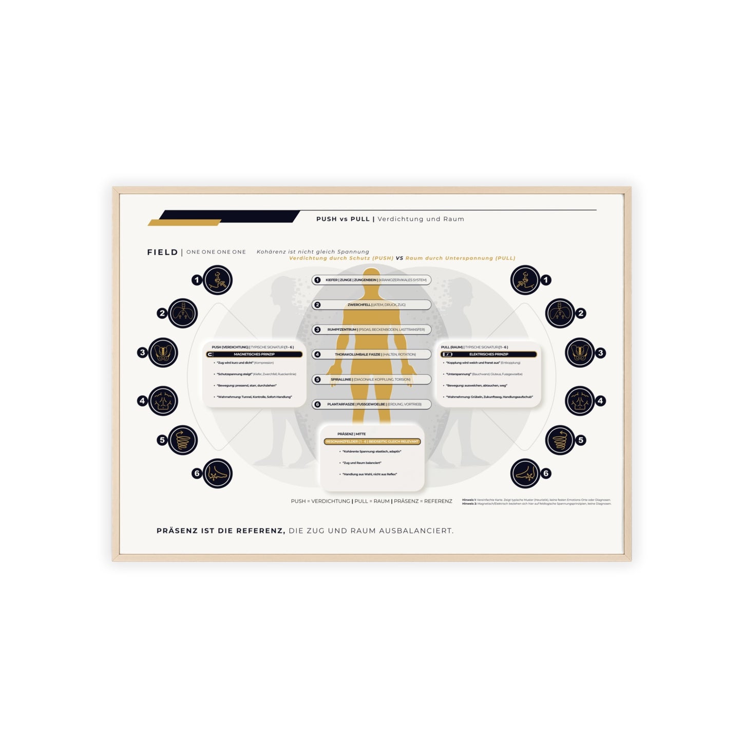 F I E L D | PUSH-PULL-CHART