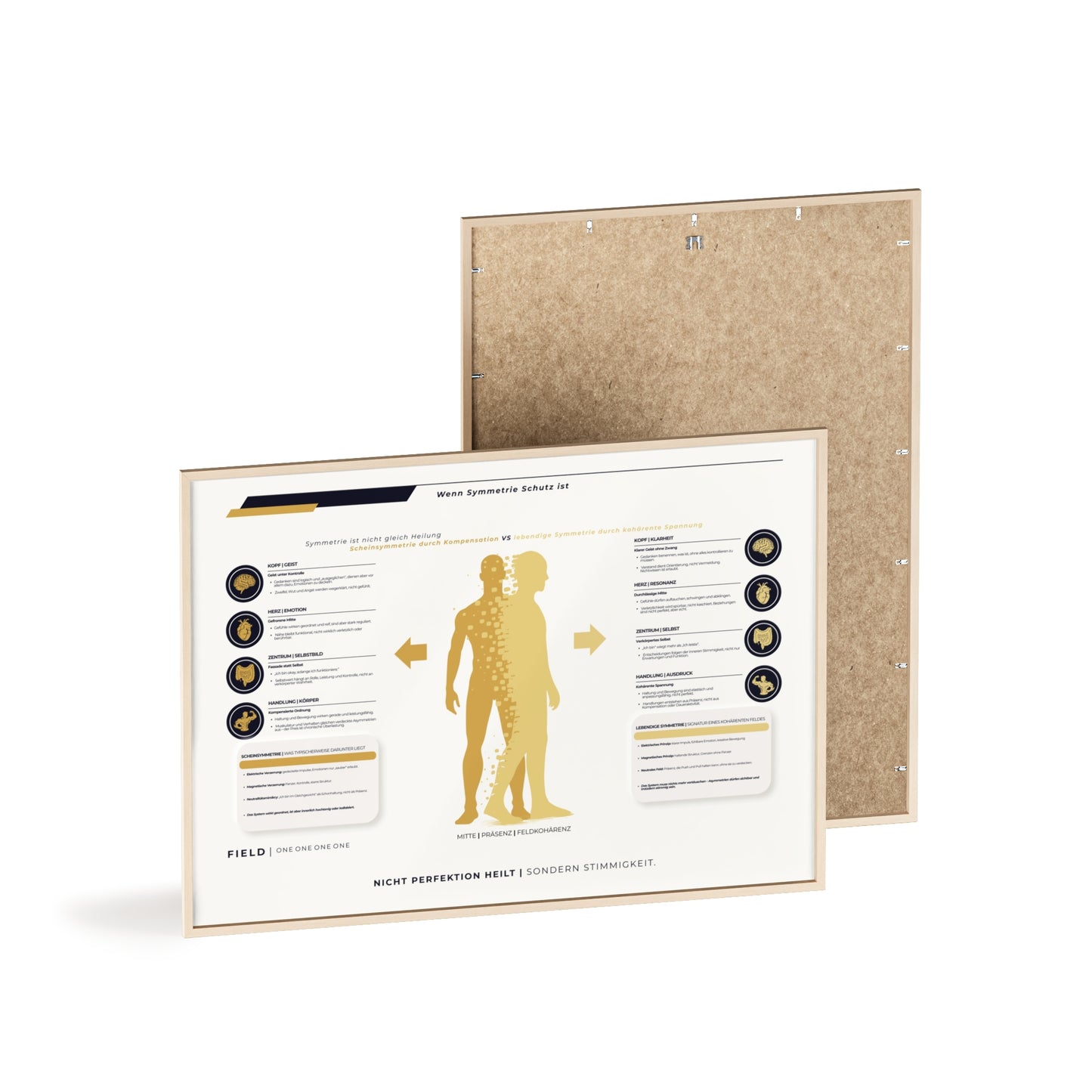 F I E L D | SYMMETRIE-CHART