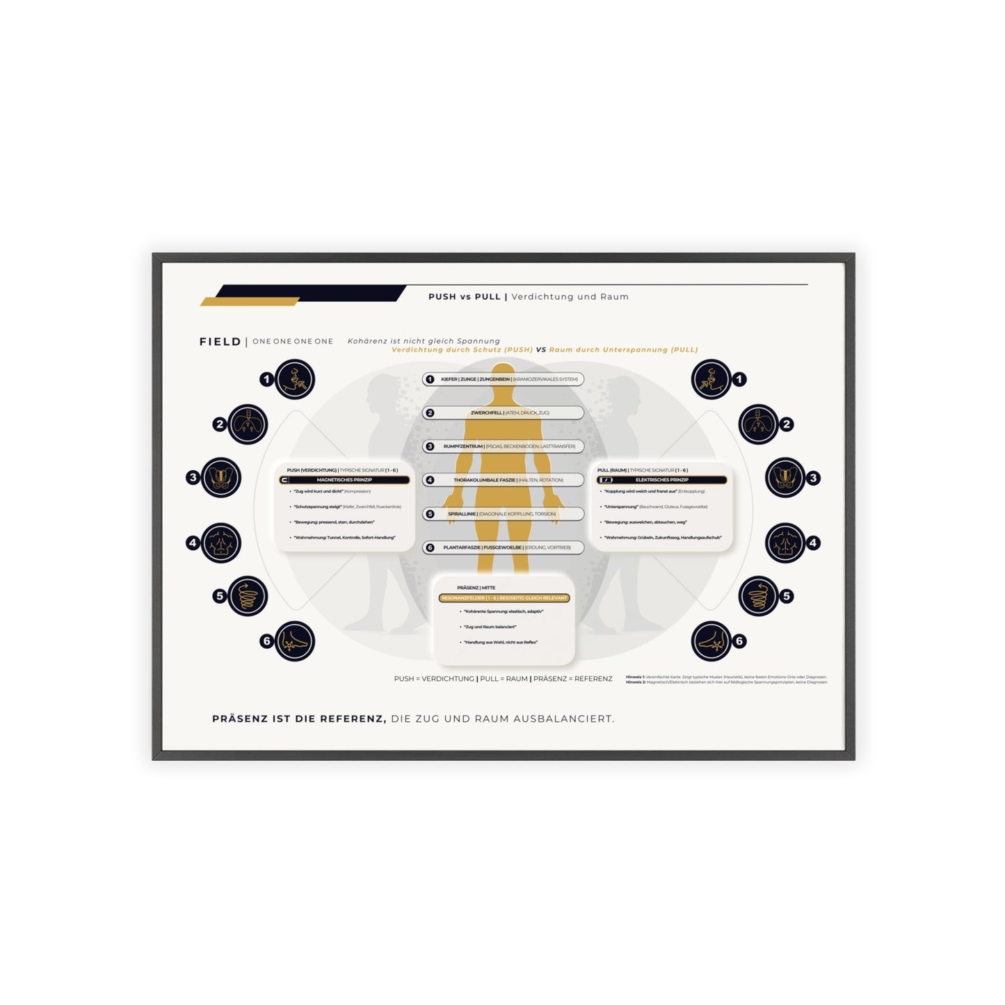 F I E L D | PUSH-PULL-CHART