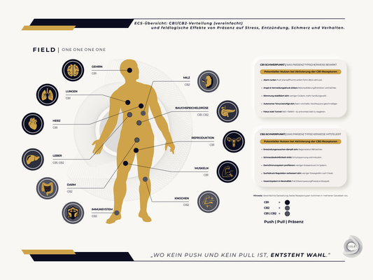 F I E L D  |  E C S - S Y S T E M - C H A R T (PDF)