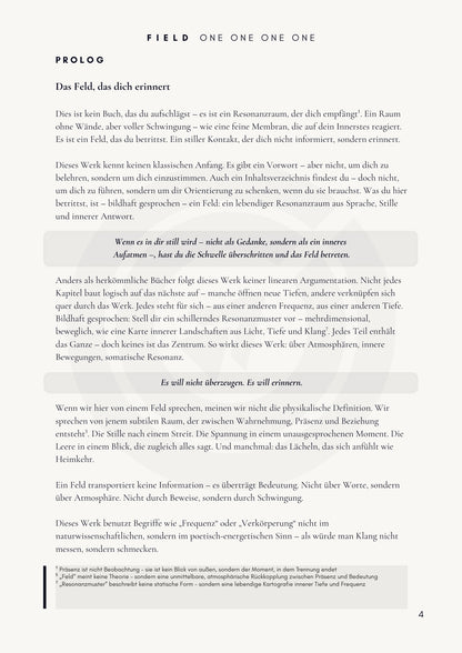 B A N D  |  1 - Frequenz und Bewusstsein im Resonanzfeld