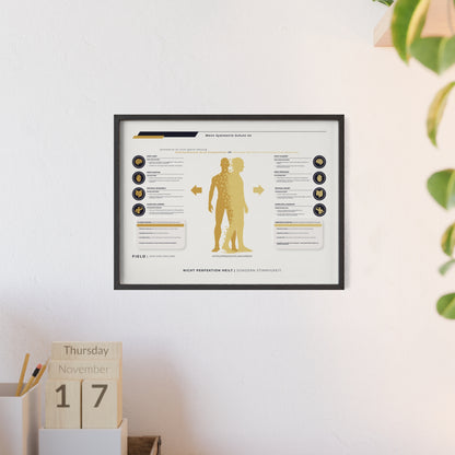 F I E L D | SYMMETRIE-CHART