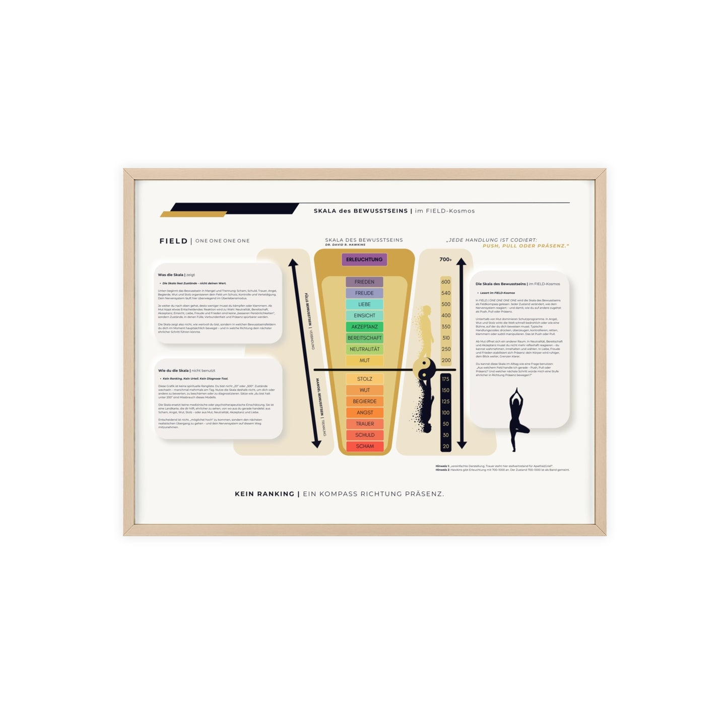 F I E L D | SKALA DES BEWUSSTSEIN