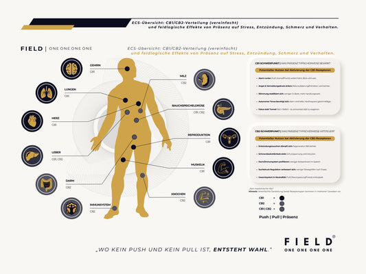 F I E L D  |  ECS-SYSTEM-CHART (PDF)