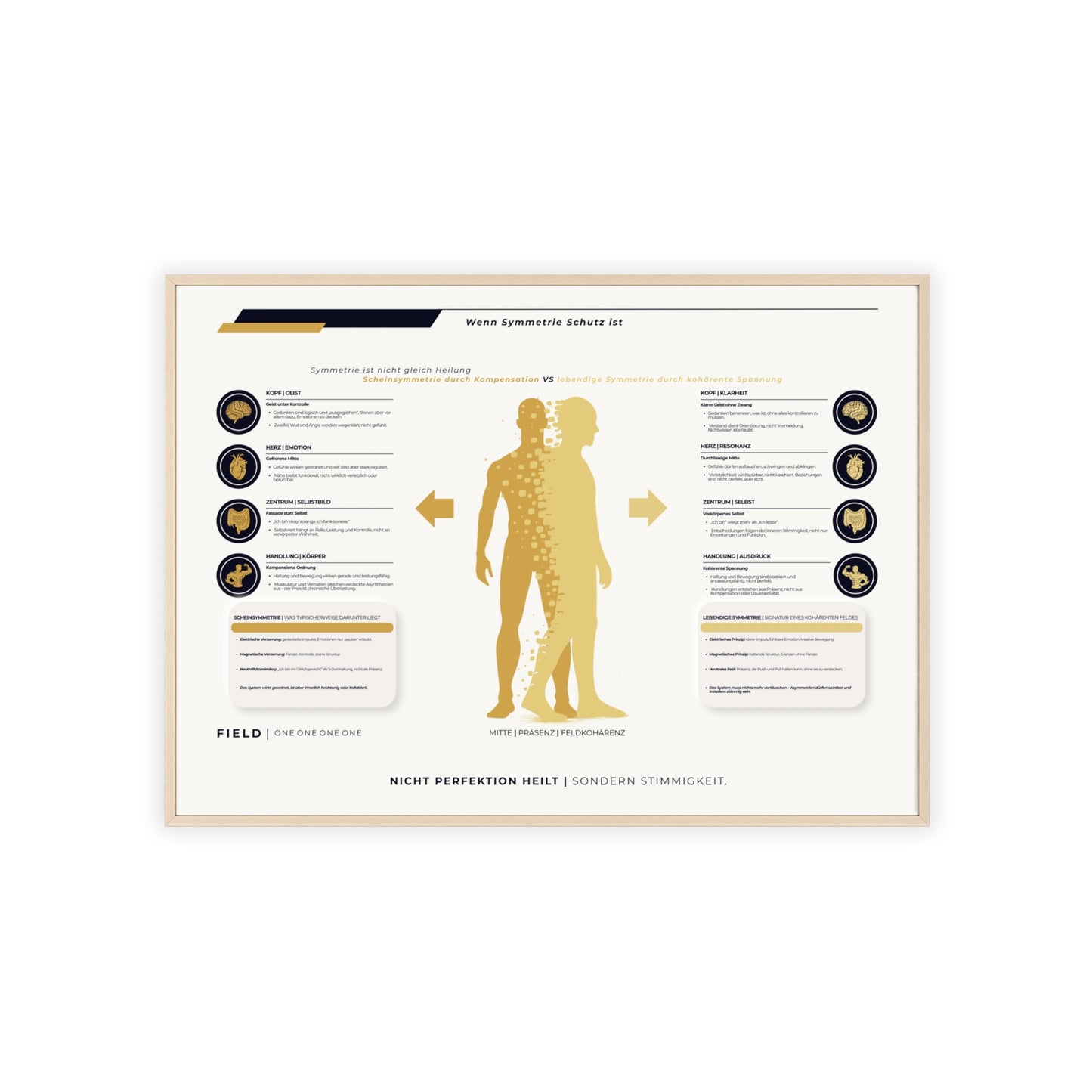 F I E L D | SYMMETRIE-CHART