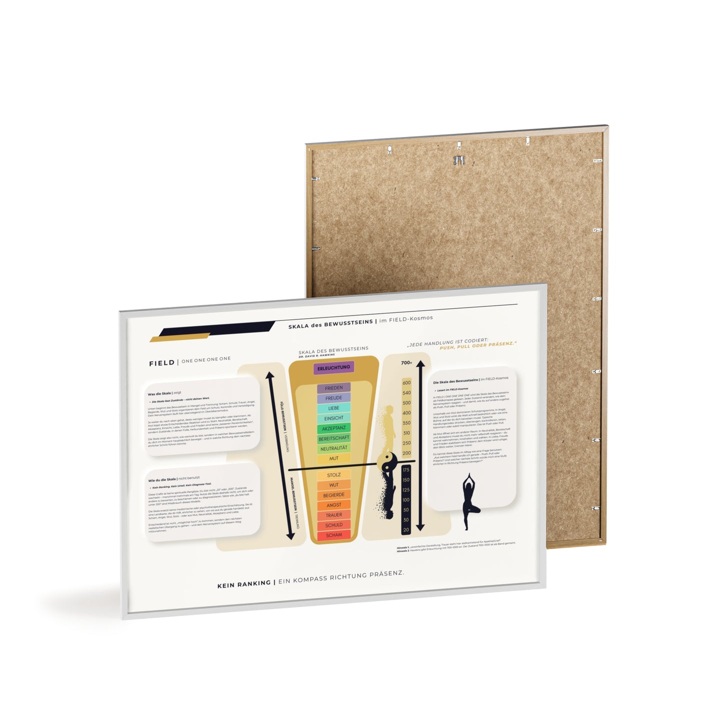 F I E L D | SKALA DES BEWUSSTSEIN