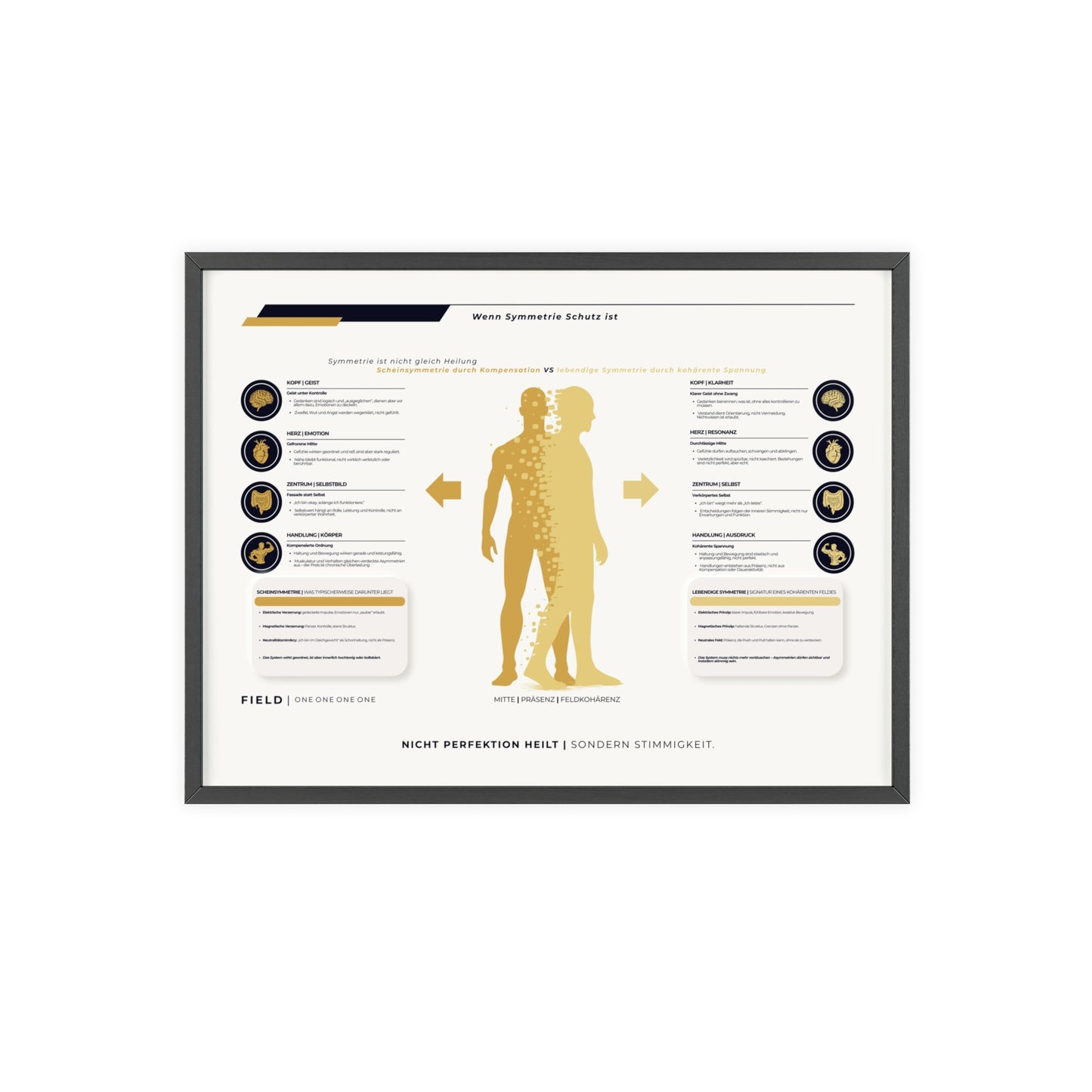 F I E L D | SYMMETRIE-CHART