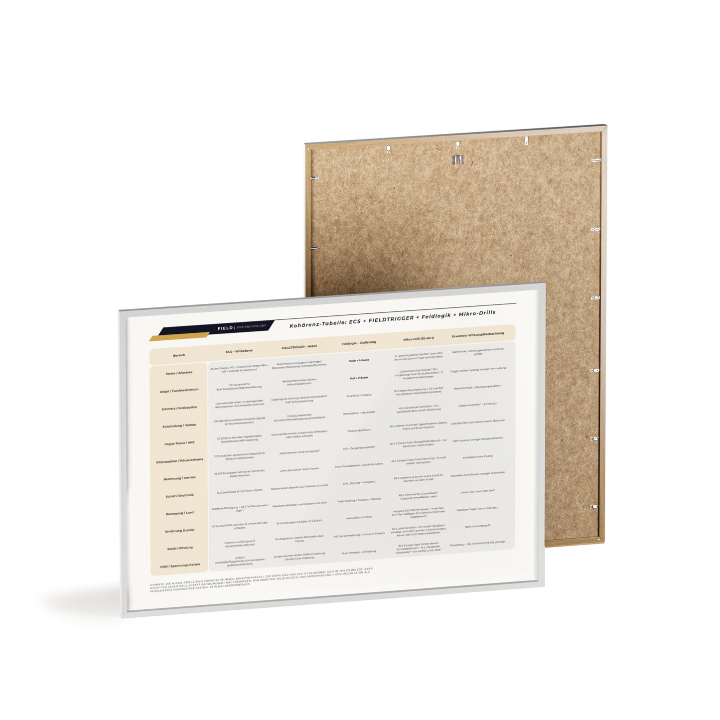 F I E L D  |  COHERENCE-CHART