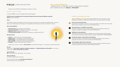 HEXENVERFOLGUNG | Feldlogik