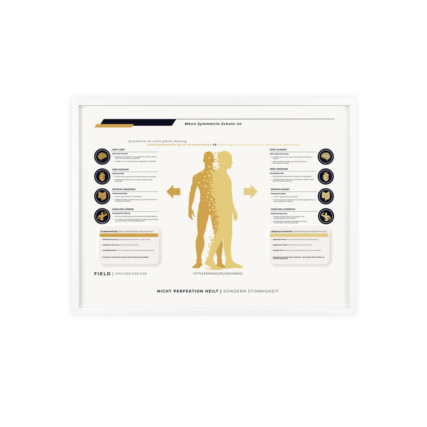 F I E L D | SYMMETRIE-CHART