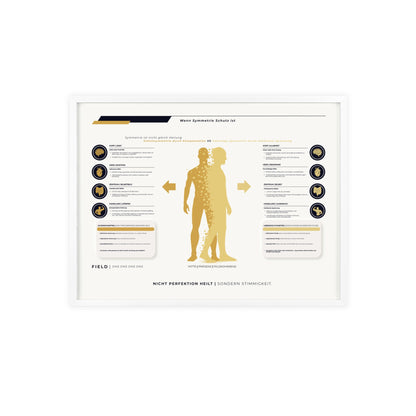 F I E L D | SYMMETRIE-CHART