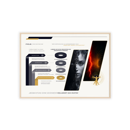 F I E L D  | 4-EBENEN-CHART