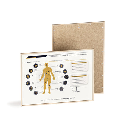 F I E L D  |  ECS-SYSTEM-CHART