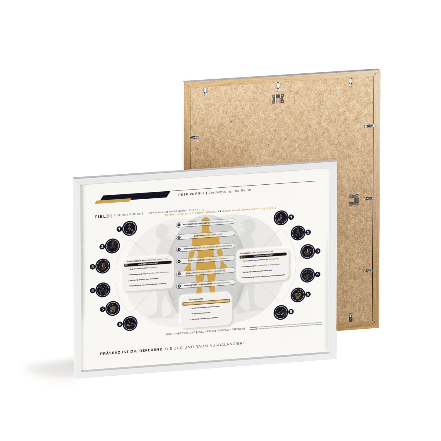 F I E L D | PUSH-PULL-CHART